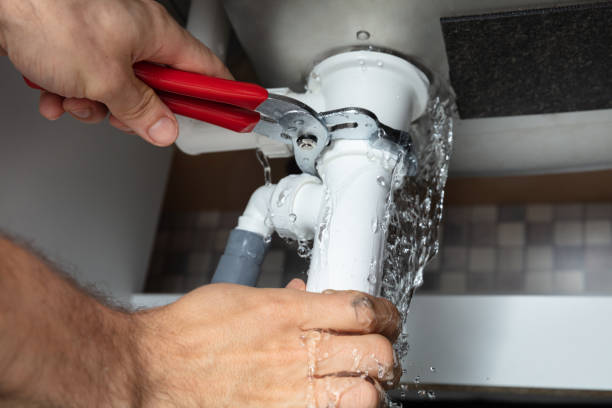 Best 24/7 water damage repair  in Ellijay, GA