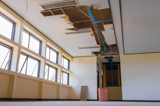 Best Water damage cleanup near me  in Ellijay, GA