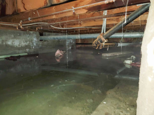 Best Flooded house restoration  in Ellijay, GA