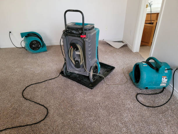 Best Water damage contractors near me  in Ellijay, GA