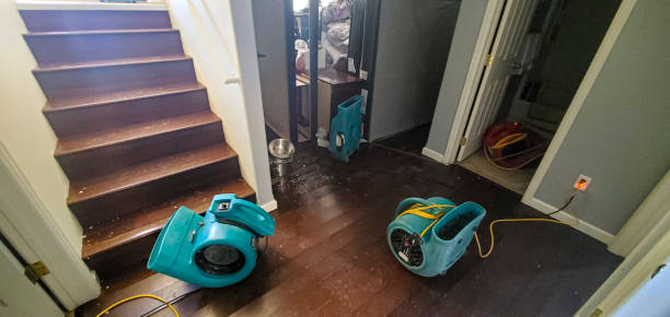 Best Water damage cleanup near me  in Ellijay, GA