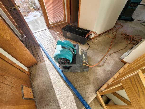 Best Fire Damage Restoration  in Ellijay, GA