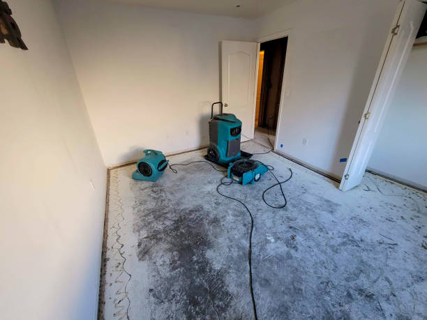 Best 24/7 water damage repair  in Ellijay, GA