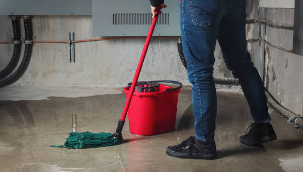  Ellijay, GA Water damage restoration Pros
