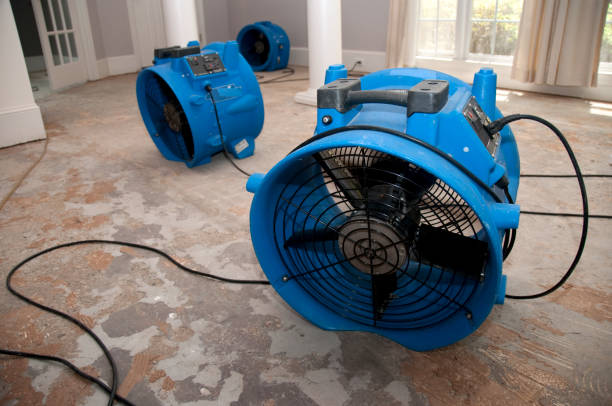 Best Sewage cleanup and water damage restoration  in Ellijay, GA