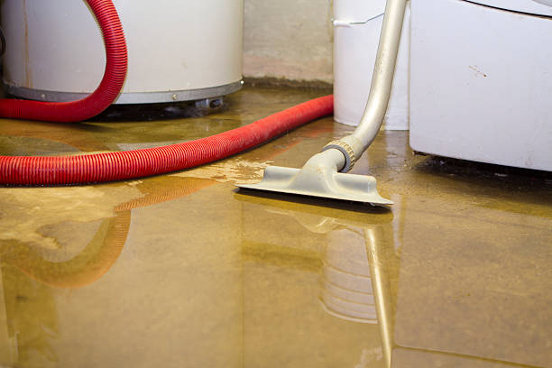  Ellijay, GA Water damage restoration Pros