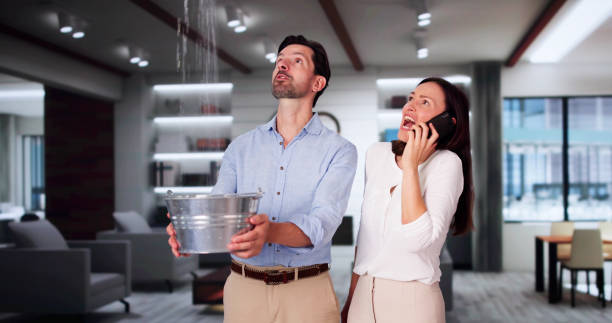 Best Carpet water damage restoration  in Ellijay, GA