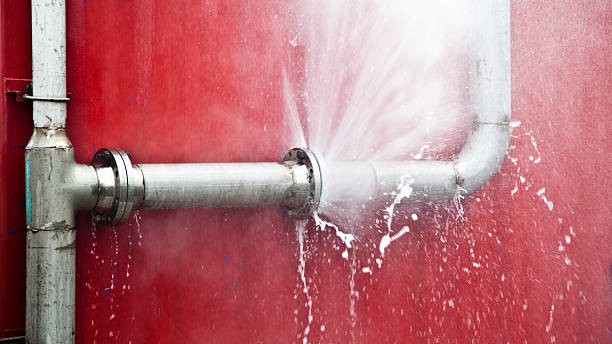 Trusted Ellijay, GA Water damage restoration Experts